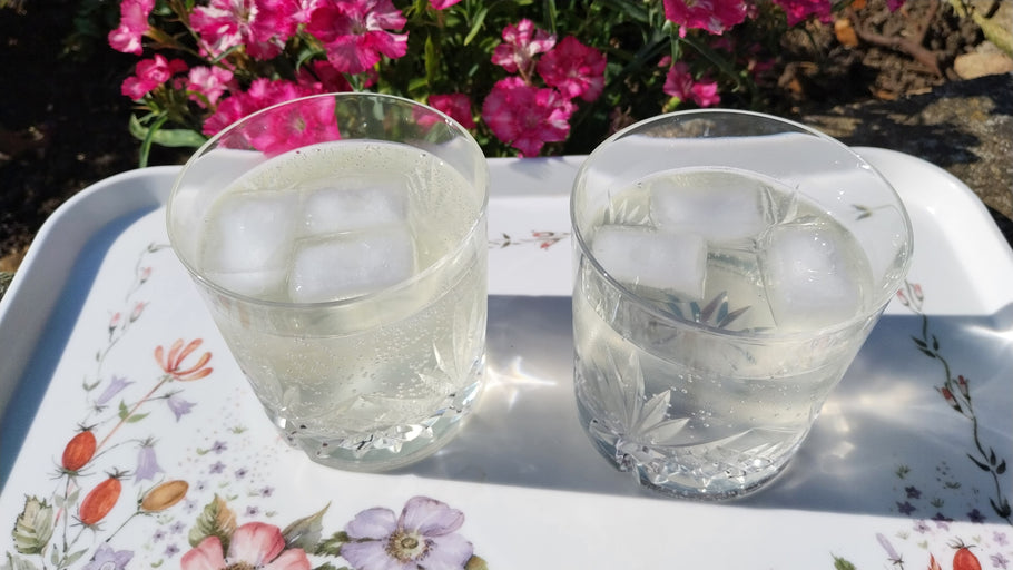 Fresh Elderflower Cordial