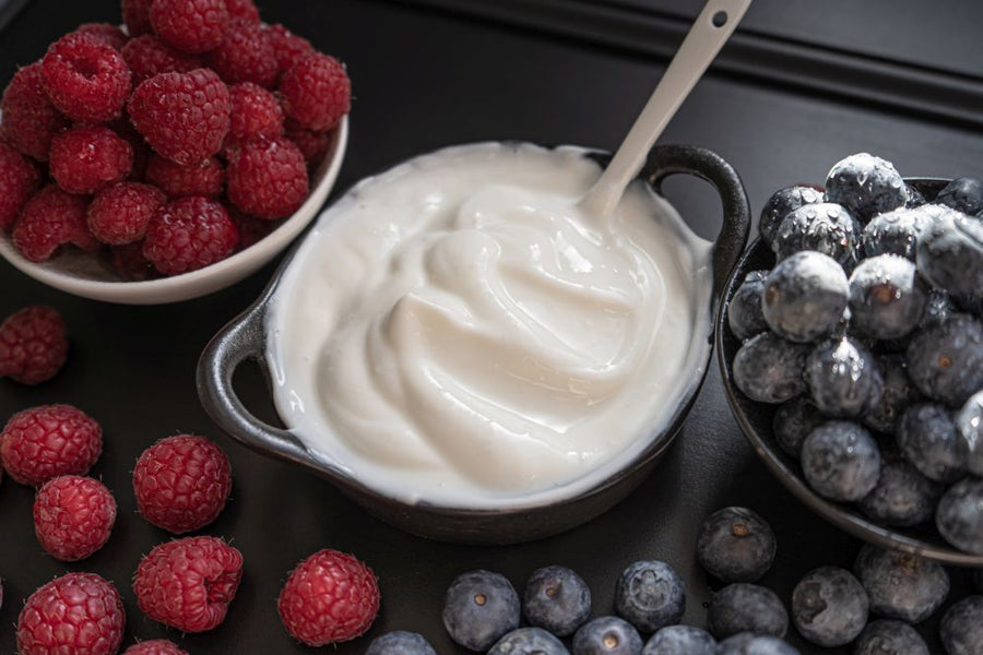 Can You Freeze Greek Yogurt? Here’s How To Do This Right
