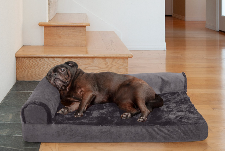 These Top-Rated Cooling Dog Beds Are the Best of 2021