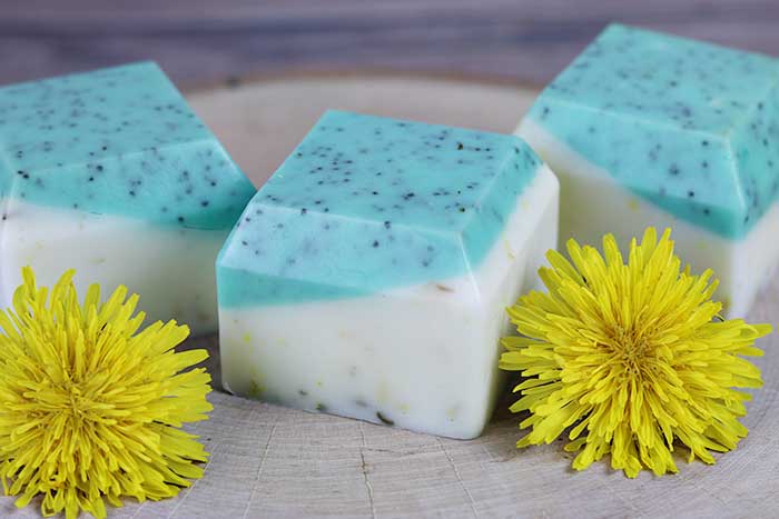 Dandelion Melt and Pour Soap Recipe for Dry Skin